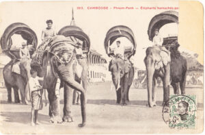 1 ANGKOR (7) - Copie